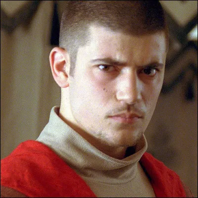 Qui va au bal avec Victor Krum ?