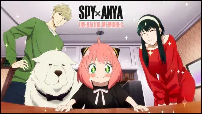 Tes cheveux sont le plus souvent :