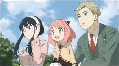 De quelle couleur sont vos yeux ?