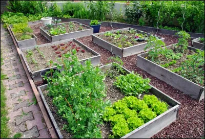 Petit jeu de mots : un potager est un...