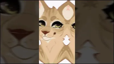 Tempête de Sable est :