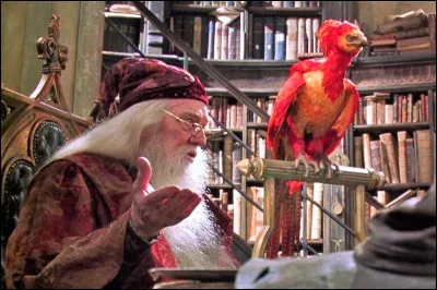 Quel est le nom du phénix de Dumbledore ?