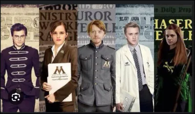 Que veut devenir Harry quand il aura quitté Poudlard ?