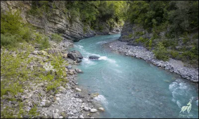 Quelle est cette rivi&egrave;re, longue de 46 kilom&egrave;tres, qui se forme dans le massif du Mercantour au lac Blanc, coule vers le sud-ouest, arrose Roquebilli&egrave;re et se jette dans le Var pr&egrave;s de Levens ?
