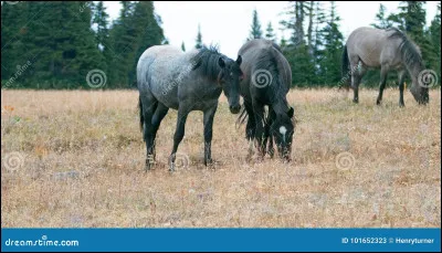 Pourquoi quitterais-tu tes amis ?