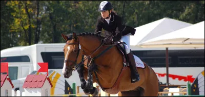 À quelle fréquence gagnes-tu des défis ou des compétitions ?