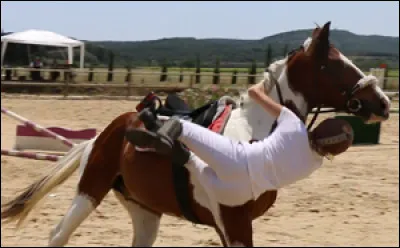 Ta monture a un nom comme...