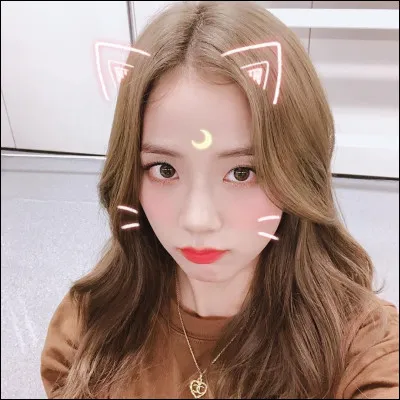Quelle est la chanson préférée des Blackpink de Jisoo ?