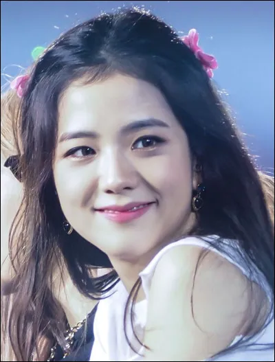 Quest-ce que Jisoo déteste faire ?