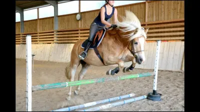 As-tu d&eacute;j&agrave; saut&eacute; des obstacles ?