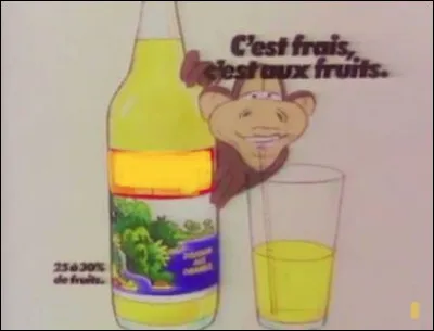« Y'a des fruits, y'a de l'eau ! » Pour quelle boisson a été composé ce jingle ?