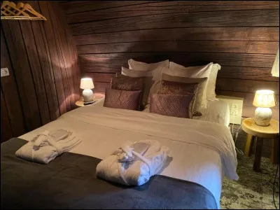 Quelle est la particularité du "Vrouwe van Stavoren Hotel"(Pays-Bas) ?