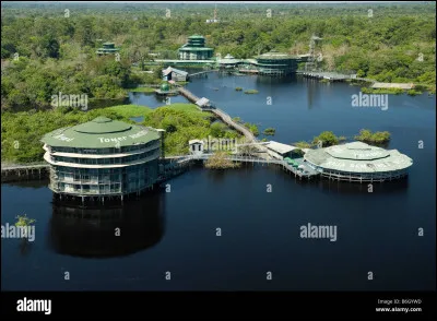 Quelle est la particularité de "l'Ariau Amazon Towers Hotel"(Manaus, Brésil) ?