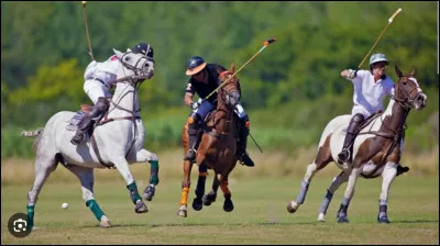 Quelle discipline est-ce ?