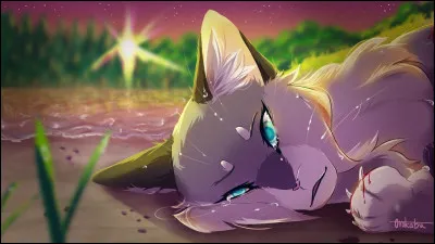 Et pour finir, lultime question : comment est-elle morte ?