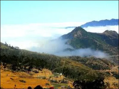 En quelle année le pétrole y a-t-il été découvert ?