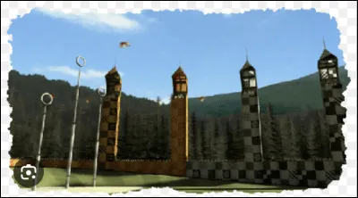 Quel match de quidditch Luna a-t-elle commenté ?