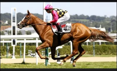 De quelle race était Ourasi ?