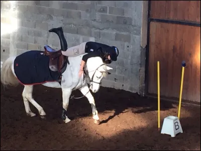 La cavalière est en train de...