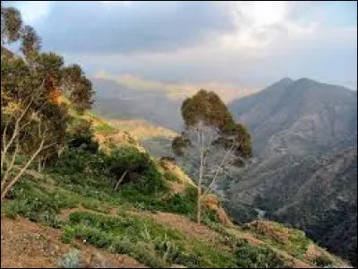 Depuis quelle année Ismaïl Omar Guelleh dirige-t-il Djibouti ?