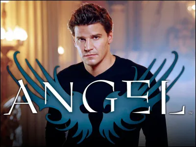 Quel est le nom de la série télévisée qui met en scène un vampire détective nommé Angel ?