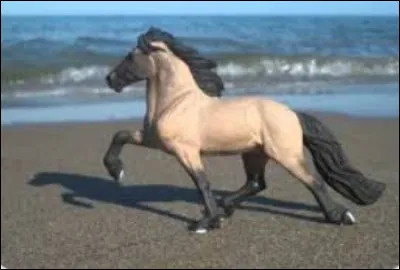 Est-ce que tu aimes les Schleich ?