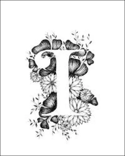 Lequel de ces tubes appartient à la chanteuse Indila ?