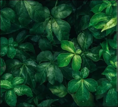 Avec quelle couleur peut on confondre le vert d'eau ?