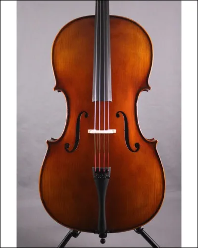 Maintenant, un instrument que l'on peut très facilement confondre avec un autre mais qui est aussi très connu. 
Quel est son nom ?