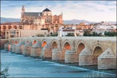 Géographie : Quel fleuve traverse la ville de Cordoue ?