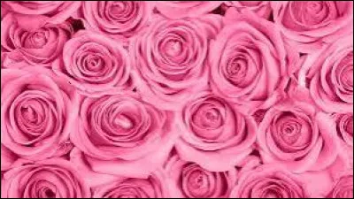 Aimes-tu la couleur rose ?