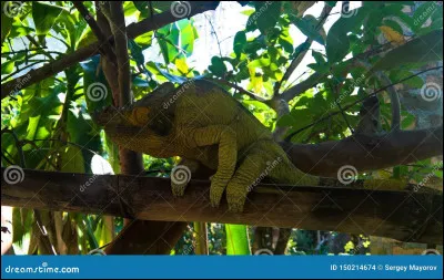 Quel est cet animal ?