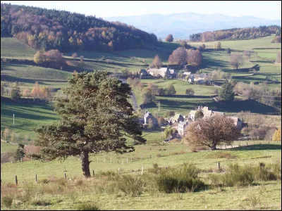 Sans doute une bizarrerie de la nature s'est-elle produite dans ce village du Cantal ...