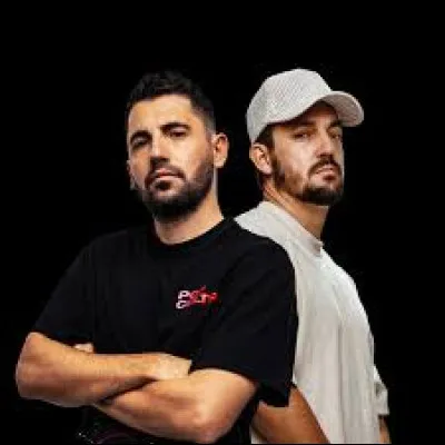 Durant quelle décennie a été fondé le duo Dimitri Vegas & Like Mike ?