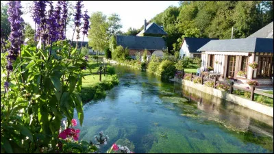 Quel est ce petit fleuve côtier, long de 25 km, qui prend sa source dans le pays de Caux, arrose Cany-Barville et se jette dans la Manche au niveau de Veulettes-sur-Mer ?