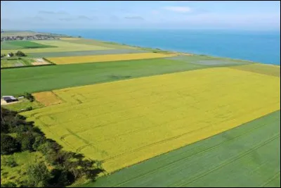 Quel est le nom de cette région naturelle, vaste plateau entaillé par des vallées, qui s'étend sur tout l'ouest du département, bordé au sud par la Seine et se terminant au nord et à l'ouest par de hautes falaises qui dominent la Manche