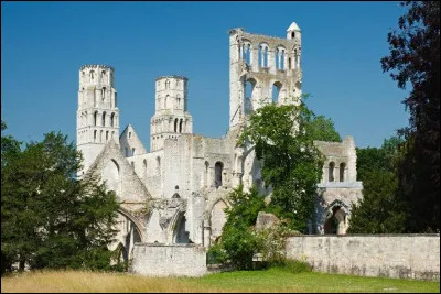 Quelle est cette ancienne abbaye, célèbre pour ses ruines dominant la vallée de la Seine ?