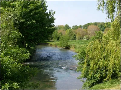 Quel est ce fleuve côtier, long de 40 km, qui prend sa source dans le pays de Caux, coule vers le nord pour se jeter dans la Manche à l'ouest de Varengeville-sur-Mer ?