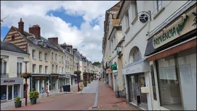 Quelle est cette ville de 11 600 habitants, situ&eacute;e dans une petite vall&eacute;e du pays de Caux, longtemps grand centre d'industrie textile ?
