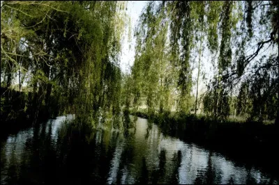 Quel est cette rivi&egrave;re, longue de 45 km, qui coule dans le pays de Bray, arrose Londini&egrave;res et Envermeu et, en rejoignant la B&eacute;thune et la Varenne, forme l'Arques, fleuve c&ocirc;tier qui se jette dans la manche &agrave; Dieppe ?