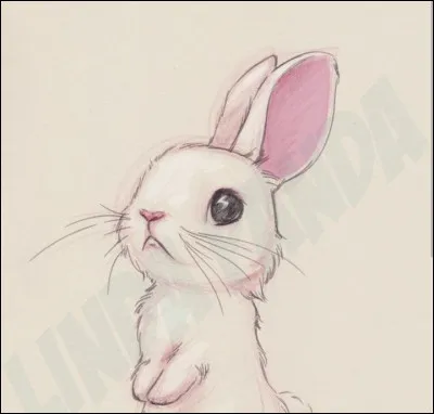 Tu dois deviner cet animal.