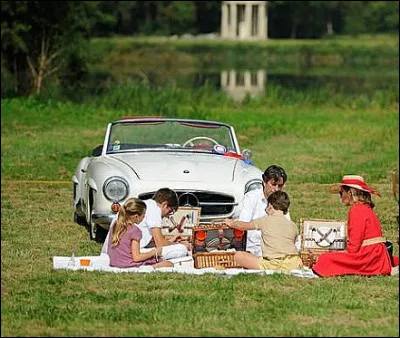 Quelle est cette auto germanique ?