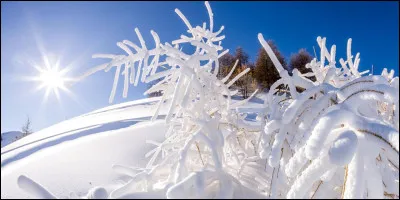 Quelle est ta saison préférée ? Partie 2