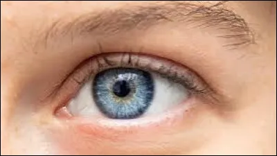 De quelle couleur sont tes yeux ?