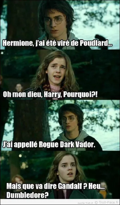 Tu vois un chaton au sol devant ta salle commune...