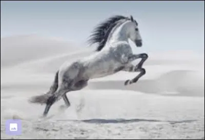 De quelle race ce cheval est-il ?