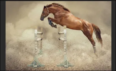 De quelle race ce cheval est-il ?