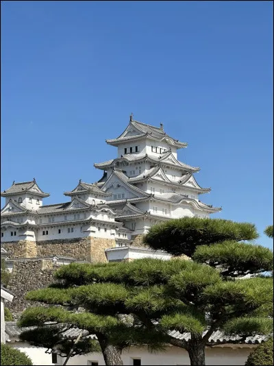 Quel est ce site historique situé au Japon ?