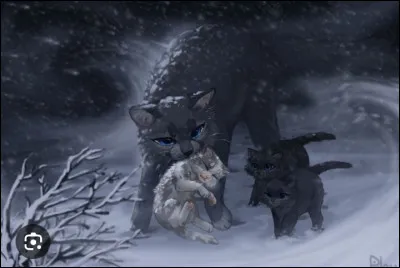 Qui est cette pauvre famille ?