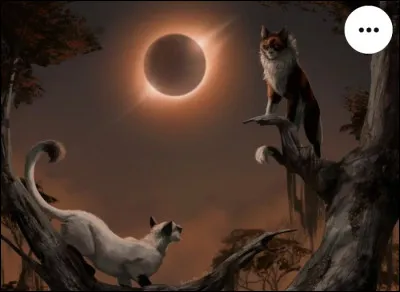 Qui est sur cette image ?